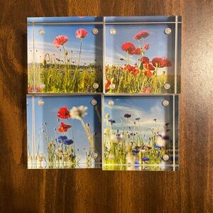 Four 2” x2” acrylic blocks of wildflowers